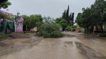 Imagen de Alerta amarillo por viento intenso y tormentas: cayó granizo en Valle Medio