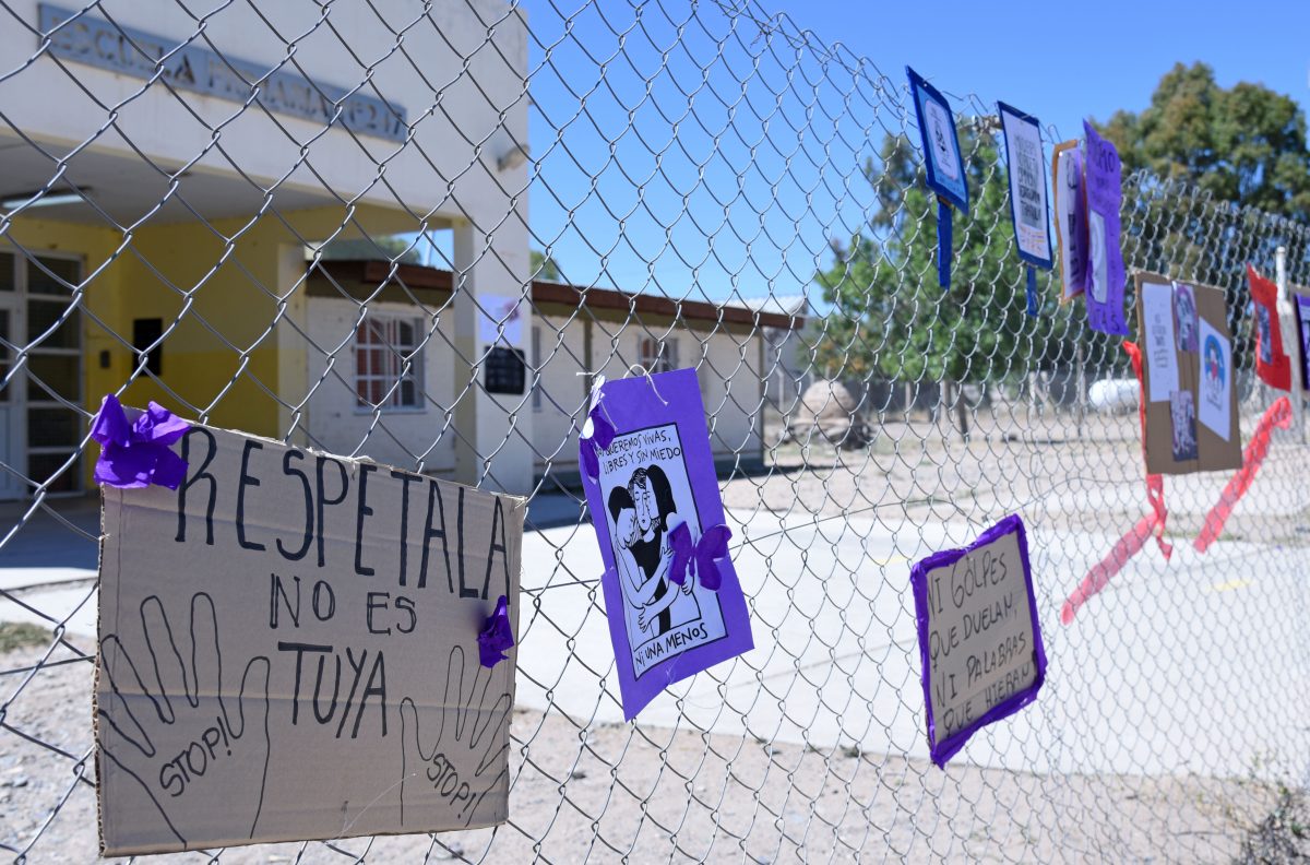 Denunciaron al gobierno de Río Negro por no "frenar los casos de violencia machista". (foto: Florencia Salto)