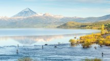 Imagen de Moscas, cañas y alto caudal: consejos para el inicio de la temporada de pesca en la boca del Chimehuín