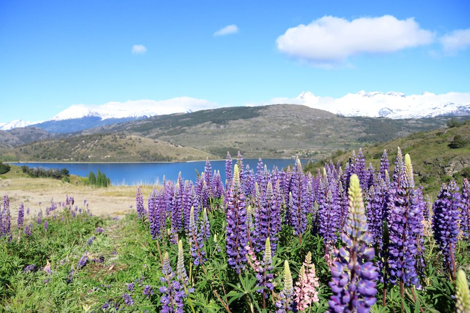 Las buenas temperaturas habilitan a recorrer los mejores paisajes en la región.-