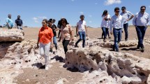 Imagen de Ambientalistas de Río Negro cuestionan el proyecto Hidrógeno Verde