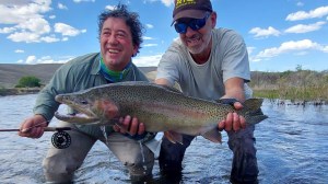 Mirá que buena trucha arcoíris picó en el río Caleufu cerca de Meliquina