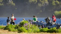 Imagen de Un plan completo para ir a Meliquina, un paraíso entre playas y montañas