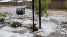 Imagen de El granizo sorprendió a dos localidades del norte neuquino