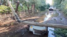 Imagen de Tormenta con granizo dañó la fruta en Cinco Saltos y hubo voladuras de techos en Cipolletti