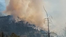 Imagen de Declaran «prioritario» el incendio del cerro Currumahuida, en Lago Puelo