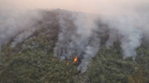 “Expondremos nuestras vidas”, advierten vecinos cercanos a los incendios