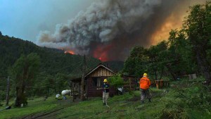 Incendios forestales: causas y medidas preventivas