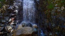 Imagen de El lago artificial para fabricar nieve en el cerro Catedral se debatirá en audiencia pública