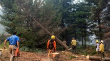 Imagen de Pobladores trabajan sin descanso para proteger con cortafuegos a Río Villegas