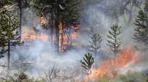 Imagen de Incendio en Aluminé: pese al calor siguen intentando que el fuego no se propague