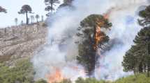 Imagen de El incendio en Aluminé se descontroló más allá del Lote 39 de Quillén