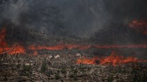 Imagen de Por el «riesgo extremo» declaran el estado de «emergencia ígnea» en todo el país