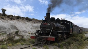 La Trochita volvió a surcar la Patagonia y deslumbró a turistas de todo el país