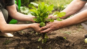 Producción agroecológica: cuáles son las propuestas en el Alto Valle