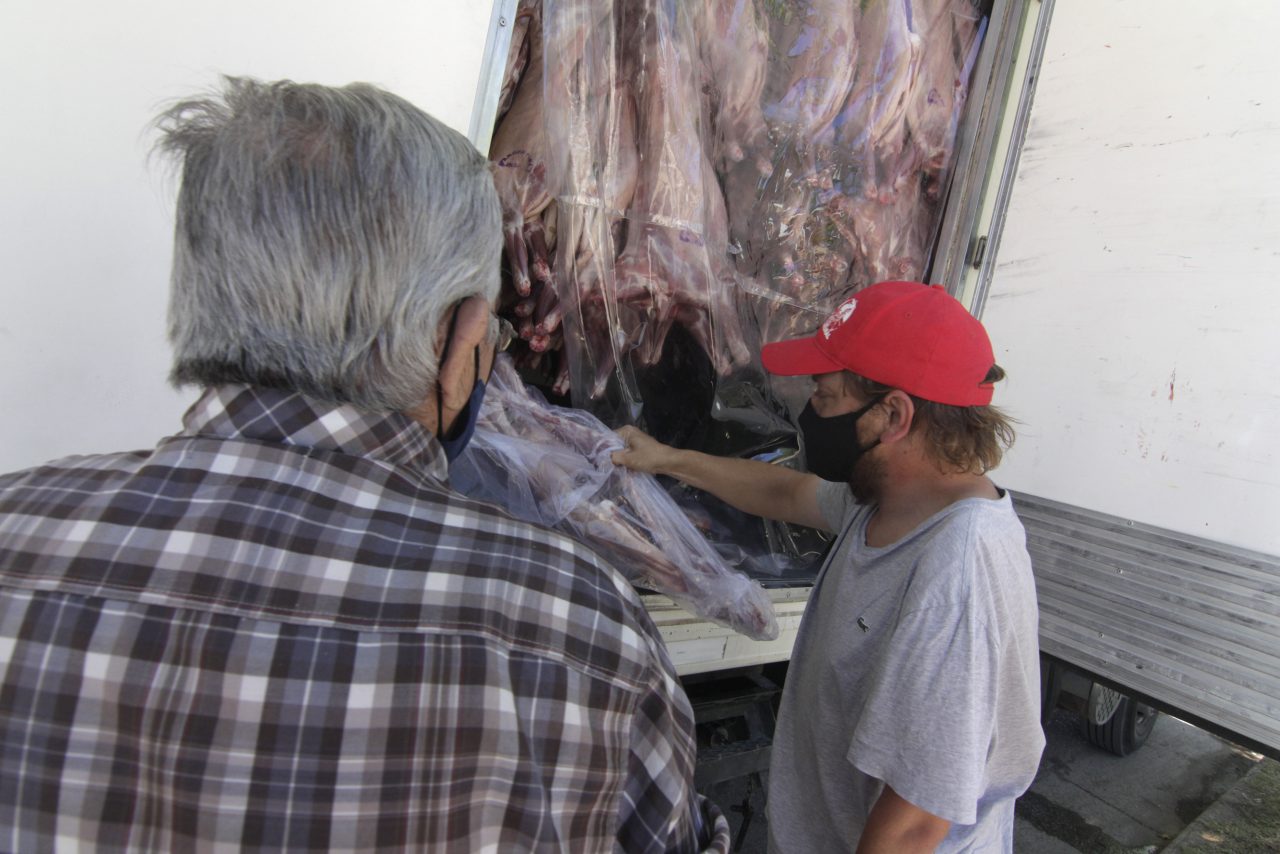 Del productor al consumidor resultó con buen saldo para los crianceros agrupados del norte neuquino (foto Oscar Livera)