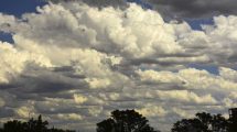 Imagen de Después del calor emiten un alerta por tormentas a Río Negro y Neuquén