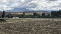 Imagen de Arranca la construcción de El Alamito, el primer parque solar de Neuquén