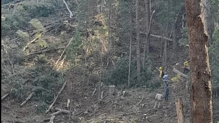 Los trabajos se concentran en estos momentos en tierra (Foto: gentileza)