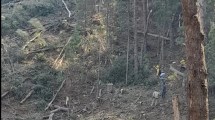 Imagen de El humo complica la lucha contra el fuego en los lagos Martin y Steffen