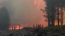 Imagen de Neuquén declaró la emergencia ígnea para Neuquén