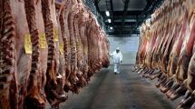 Imagen de El Gobierno apura gestiones para bajar el precio de cinco cortes de carne antes de las fiestas