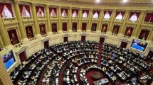 Imagen de En vivo: juraron los nuevos diputados de Río Negro y Neuquén en el Congreso