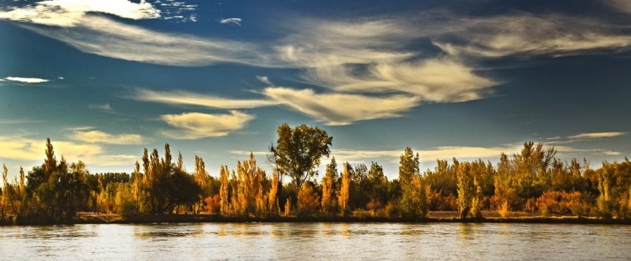 Las costas del río Negro ofrecen su mejor cara en esta temporada.- 