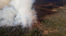 Imagen de Están controlados los focos de incendios vigentes en Chubut, afirmó Nación