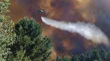 Imagen de Los muertos por la caída del helicóptero en el incendio de Aluminé no son de Neuquén