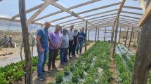 Imagen de Desafiando la adversidad producen verduras a más de 1200 metros del nivel del mar, en la Región Sur