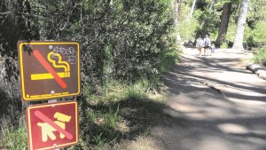 El peligro de entrar con la mascota a un parque nacional