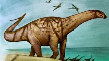 Imagen de Hallan dinosaurio de cuello largo que vivió hace 70 millones de años en Río Negro