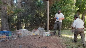 Secuestraron 22 aves en cautiverio, jaulas y trampas en una cabaña del oeste de Bariloche