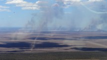 Imagen de Bomberos confirma que no hay focos activos en Puerto Madryn