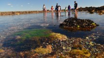 Imagen de Descubrí el mundo oculto de la Isla Mejillón en Las Grutas