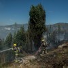 Imagen de Mientras los brigadistas combaten el fuego en Epuyén, prenden focos en El Bolsón y Las Golondrinas