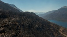 Imagen de Incendio al sur de Bariloche: habilitan el camino al lago Steffen a partir de este lunes