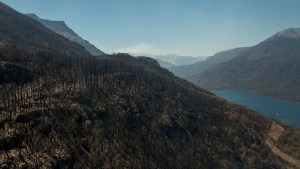 Incendio al sur de Bariloche: habilitan el camino al lago Steffen a partir de este lunes