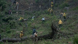 Incendio al sur de Bariloche: recorren el perímetro tras la lluvia, en busca de puntos calientes