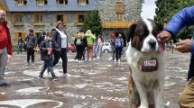 Imagen de Las alternativas para los turistas ante la lluvia torrencial en Bariloche