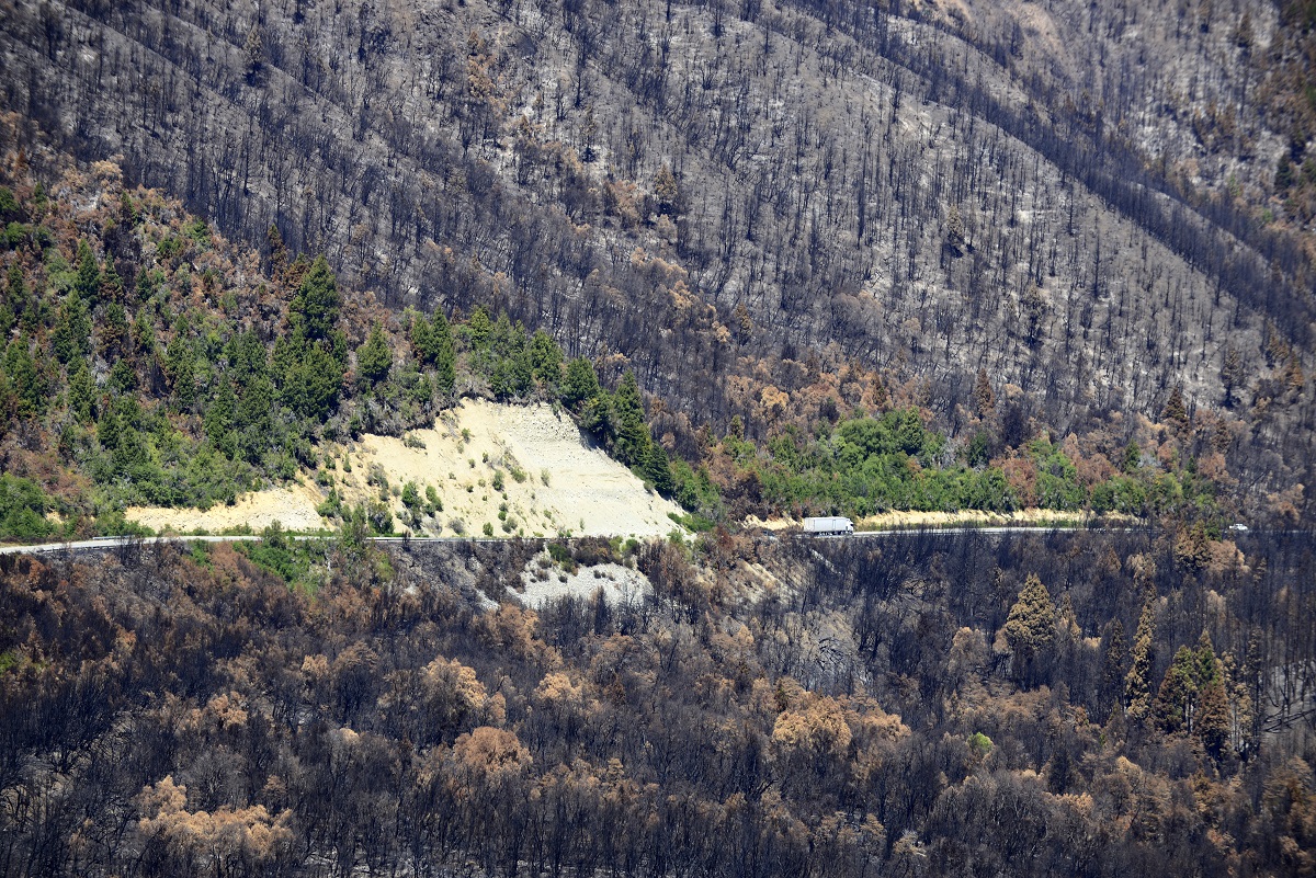 Desde el lago Steffen se pueden observar las áreas de bosque nativo arrasadas por el incendio que se inició en diciembre. Foto: Chino Leiva