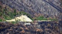 Imagen de El incendio en el lago Martin podría controlarse en 15 días