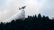 Imagen de El fuego duplicó la superficie afectada en 5 días, en el incendio de lago Martin y Steffen