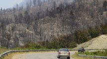 Imagen de Con donaciones, reforestan parte de la zona afectada por el incendio al sur de Bariloche