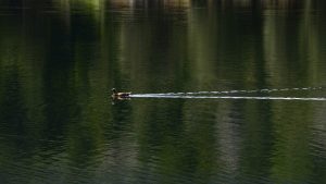 Pronóstico: este viernes se mantienen las buenas temperaturas en la región