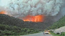 Imagen de Los incendios en la región son nuevas “tormentas de fuego”