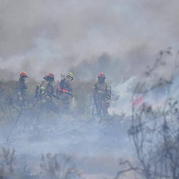 El fuego afecó la zona de Puerto Pirámides. Foto: Gentileza Gobierno de Chubut. 