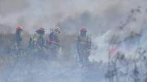 Imagen de El fuego en Madryn arrasó con 70 mil hectáreas de flora y se coordina el rescate de la fauna