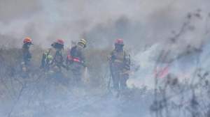 El fuego en Madryn arrasó con 70 mil hectáreas de flora y se coordina el rescate de la fauna